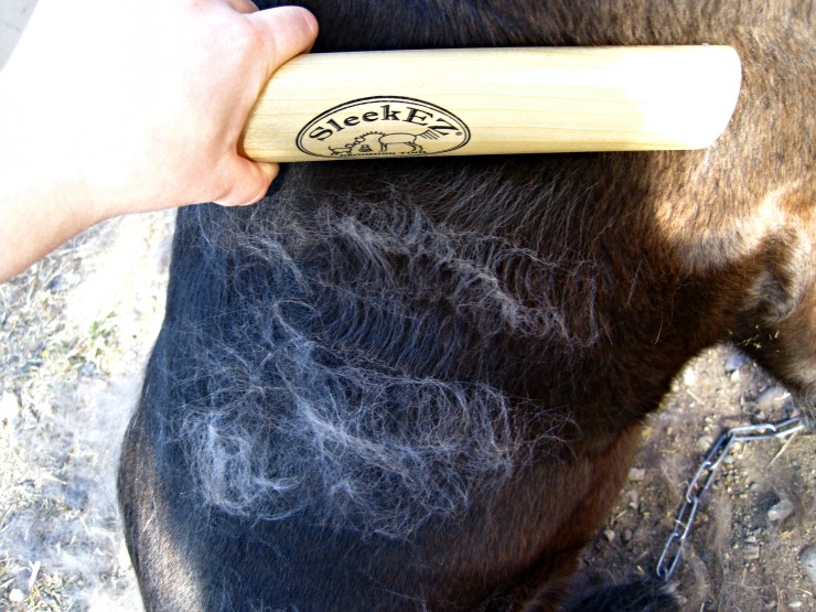 review of sleekez pet groomer brush dog brush