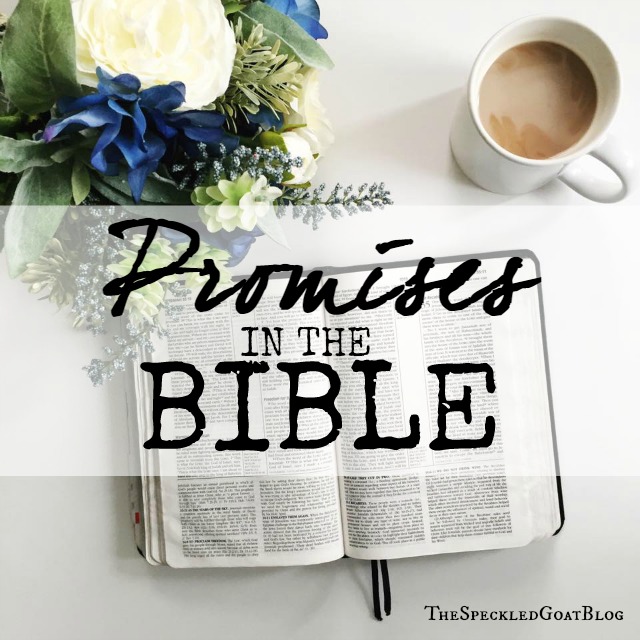 The Bible is chock full of promises. But so often, we try to apply every promise to ourselves-- and that can lead to misinterpretation. Talking about promises in the Bible, and why this infertile girl doesn't think God promised her a baby. Promises in the Bible