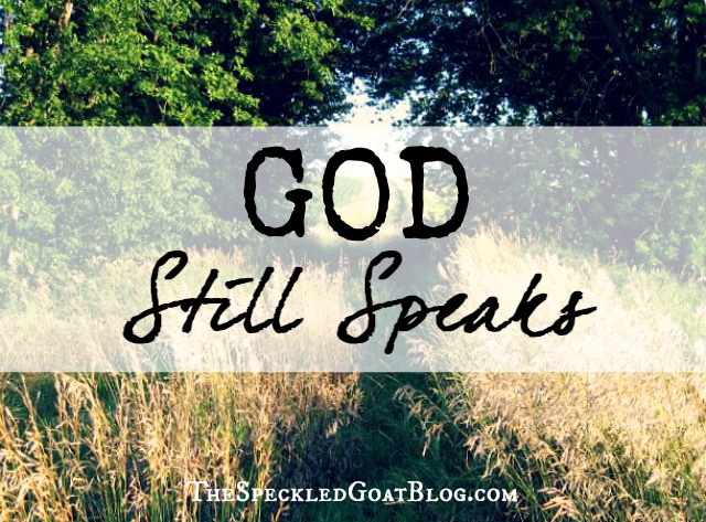 God Still Speaks Have you ever just wanted God to give you an answer? Speak into your life? God still speaks, even today- we just have to be listening.