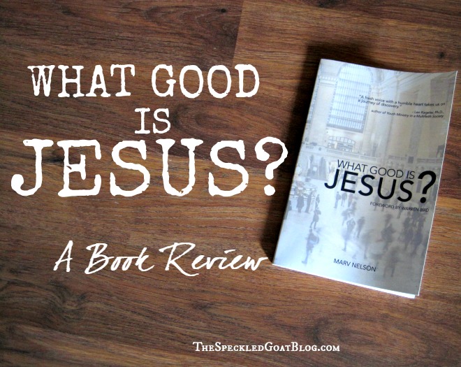 book review "what good is Jesus" Marv Nelson