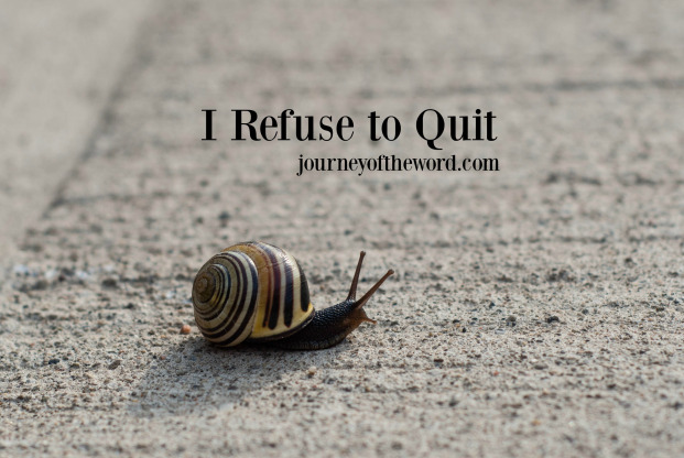 I refuse to quit Bible