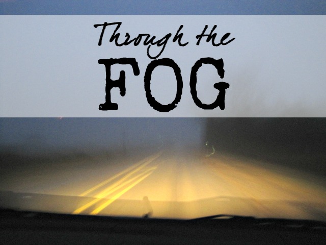 Through the fog Life feels foggy lately. We can't see what's coming up next, and we're afraid of hidden dangers. But there's one big difference for those of us who know Christ.... | The Speckled Goat
