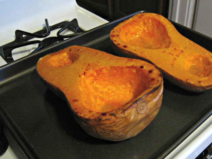 squash recipe entree main dish