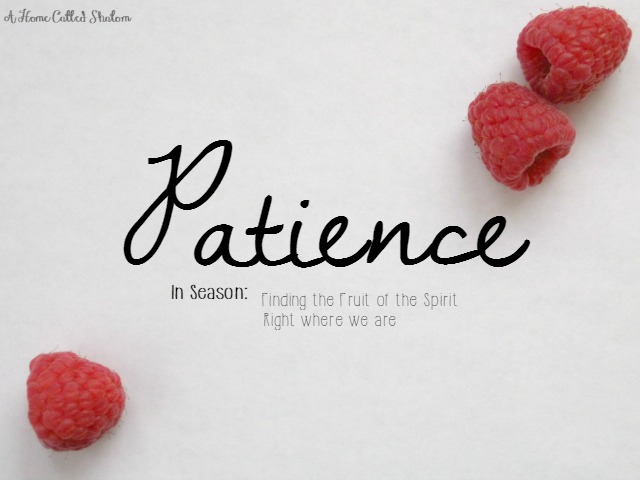 Fruit of the Spirit