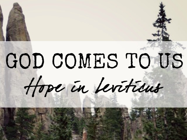 hope in Leviticus God Comes to us