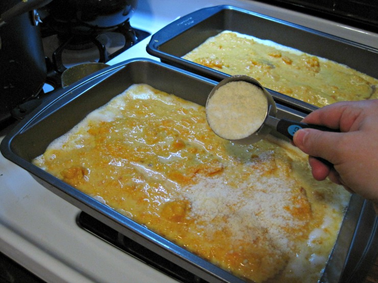 butternut squash lasagna sprinkle cheese over top parmesan cheese over lasagna entree squash