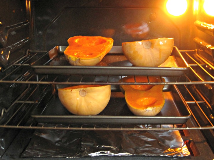 two butternut squash in oven roasted butternut squash recipe
