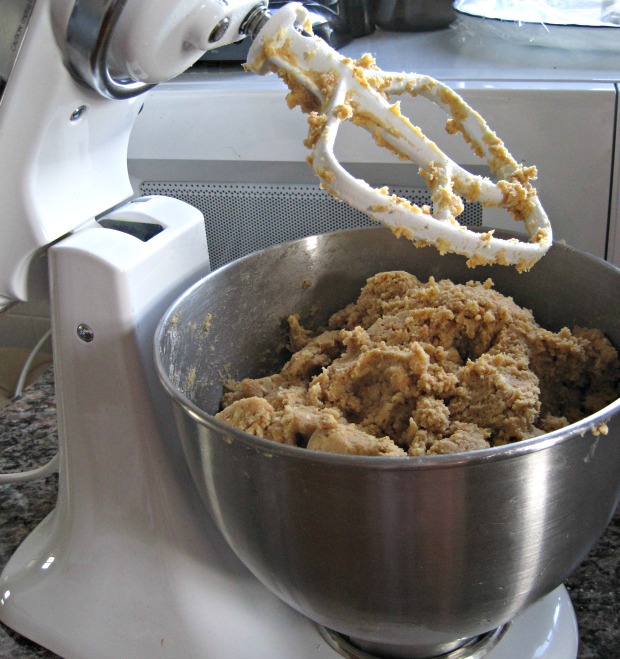Thick cookie dough in the mixer- graham cracker crumbs, butter, sugar... where could you go wrong? electric mixer silver bowl kitchenaid white cookie dough
