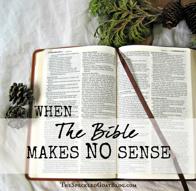 When the Bible Makes No Sense: Practical Steps for Finding Clarity in Scripture