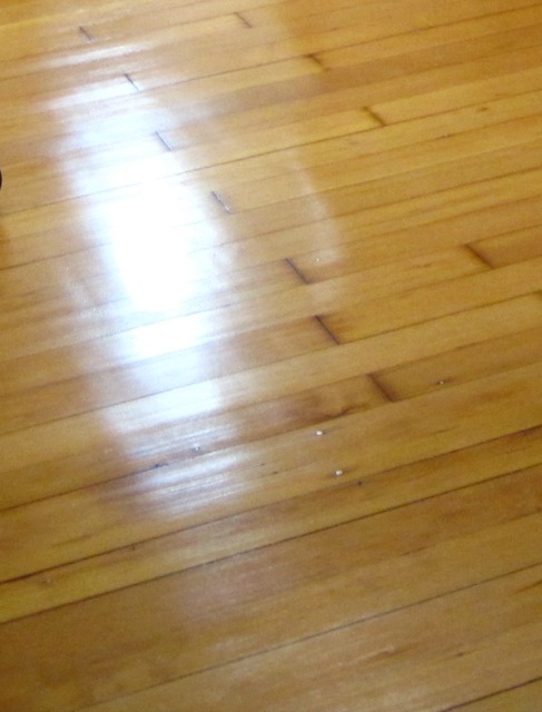 After the third coat of varnish- our DIY hardwood floor refinishing project Shiny hardwood floor