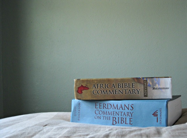 commentaries on the Bible- you don't have to be a professor to read a commentary!
