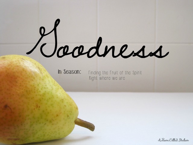 Fruit of the Spirit Goodness