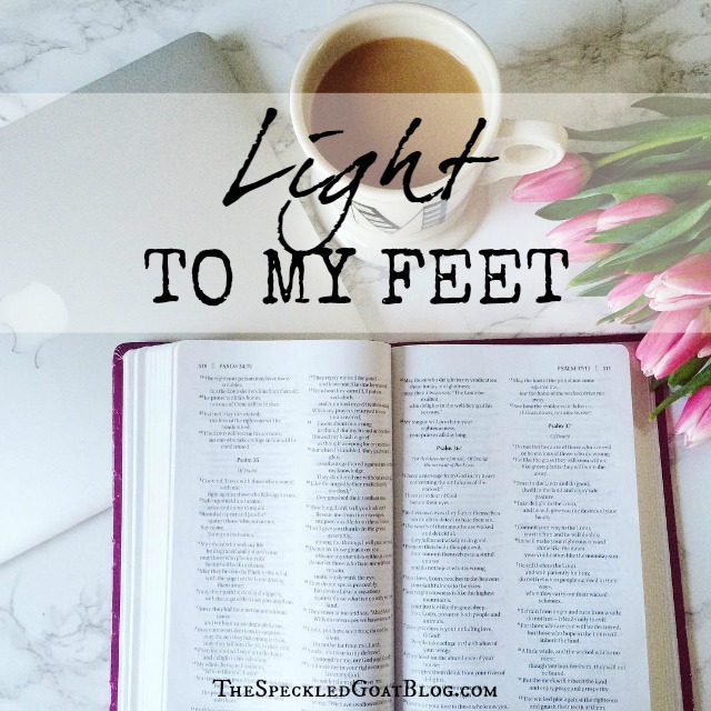 Light to My Feet: The Bible is Clear Light to My Feet: People argue about the Bible all the time, and yet, in the Psalms, we read that the Bible is a light to our path. Some thoughts about the clarity of the Bible, and what that means for us.